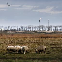 Rampenplan aardbevingen Groningen ligt klaar