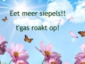 siepels